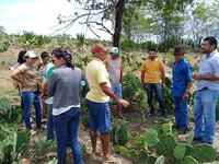 02_04_19-agricultores-de-alcantil-conhecem-familia-agricultora-modelo-em-santa-cecilia-4.jpg