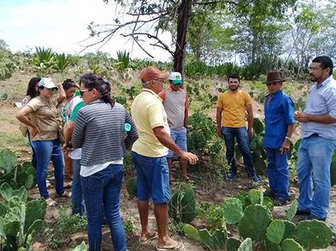 02_04_19-agricultores-de-alcantil-conhecem-familia-agricultora-modelo-em-santa-cecilia-4.jpg
