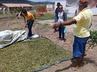 02_04_19-agricultores-de-alcantil-conhecem-familia-agricultora-modelo-em-santa-cecilia-3.jpg