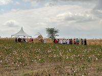 1-30-08-dia-de-campo.jpg