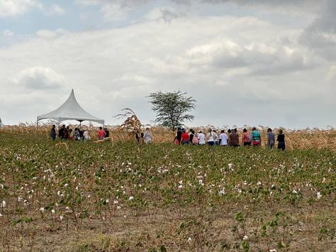 1-30-08-dia-de-campo.jpg