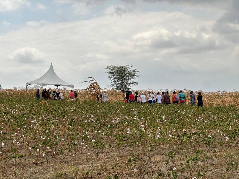 1-30-08-dia-de-campo.jpg