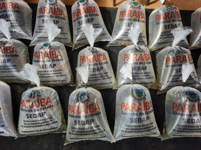 20250816_091907.jpg