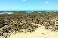 23-05-19-parque_estadual_areia_vermelha-2.jpg