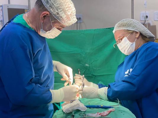 Opera Paraíba realiza mais de mil cirurgias por mês atendendo a todas as regiões do estado