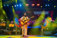 afrosonoro2.jpg