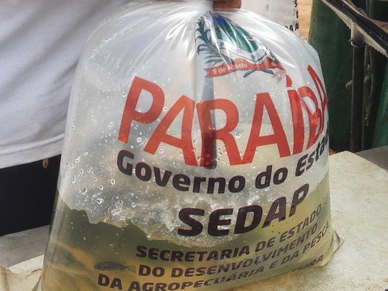 alevinos-distribuicao.jpg