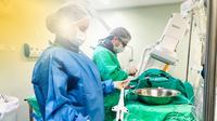 angioplastia-com-rotoblator-no-hm-1.jpg