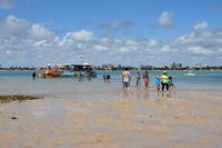 apa-areia-vermelha-c-roberto-guedes-6.jpg