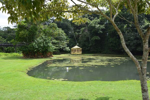 Jardim Botânico promove 4ª edição do Jardim Azul neste sábado (12)
