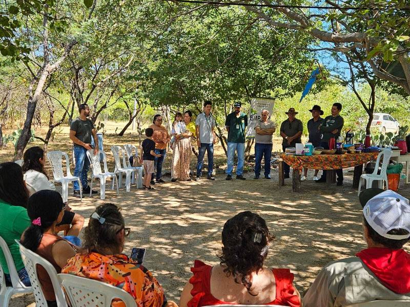 apicultura1-18-6_1.jpg