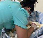 as-avaliacoes-bucomaxilo-acontecem-diariamente-na-maternidade-do-hosputal.jpg
