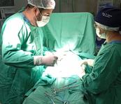 as-cirurgias-foram-realizadas-atraves-do-programa-paraiba-contra-o-cancer.jpg