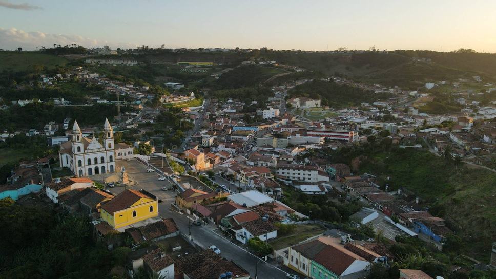 bananeiras-1.jpg
