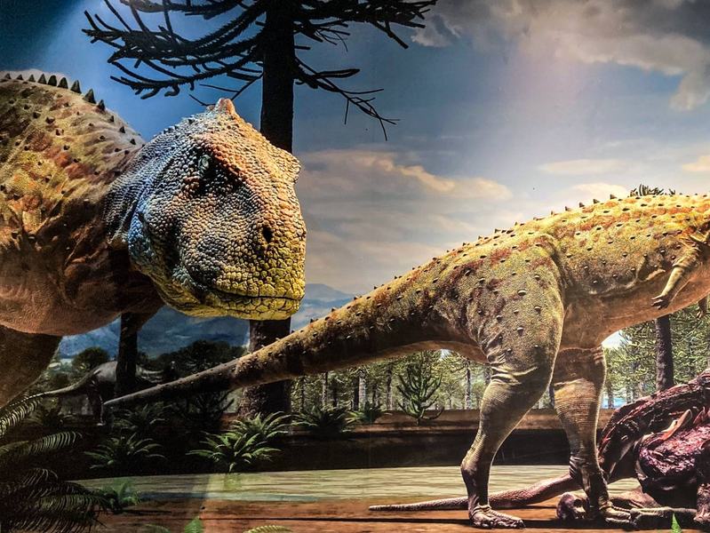 beatriz_avelino_vale_dos_dinossauros_sousa-13.jpeg
