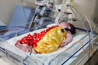 bebes_utin-6.jpg