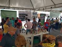 catole4-07-12.jpg