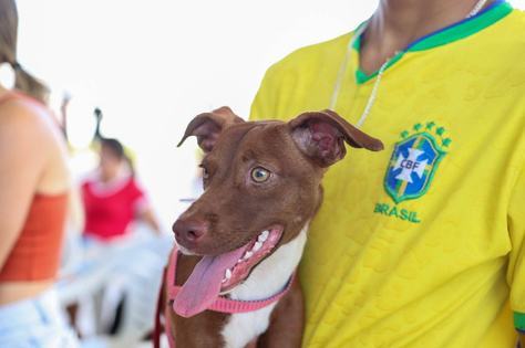 causa-animal_evento-1.jpeg