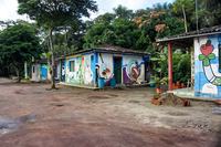 cha-de-jardim-pau-ferro-fernanda-eggers-2024.jpg