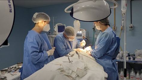 cirurgia-odontologica-pne.jpg