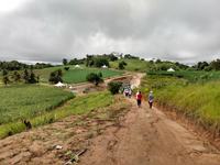 dia-de-campo1.jpg
