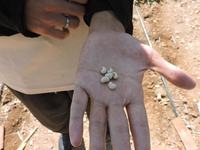 dscn5240.jpg