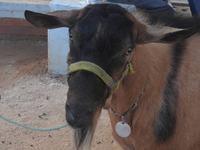 dscn6889.jpg
