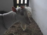 dscn7143.jpg