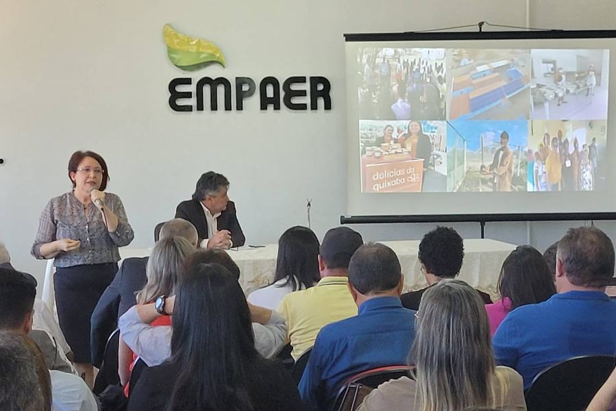 empaer-2.jpg