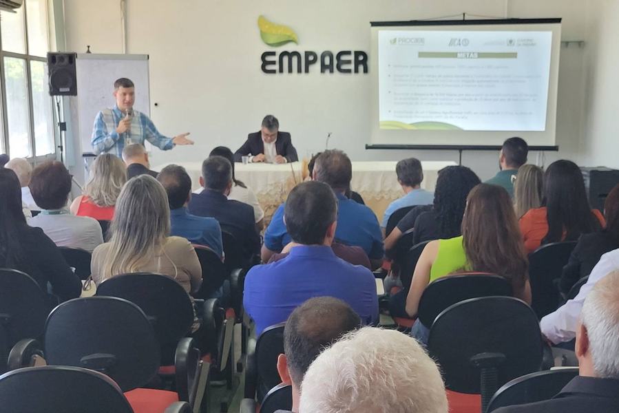 empaer-4.jpg