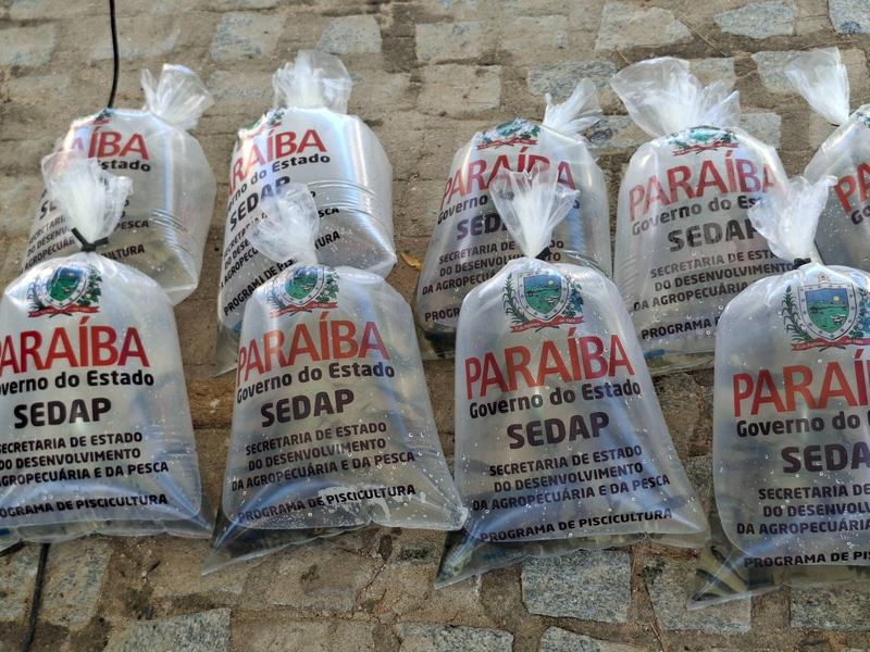 entrega-de-alevinos-sedap-pb.jpg