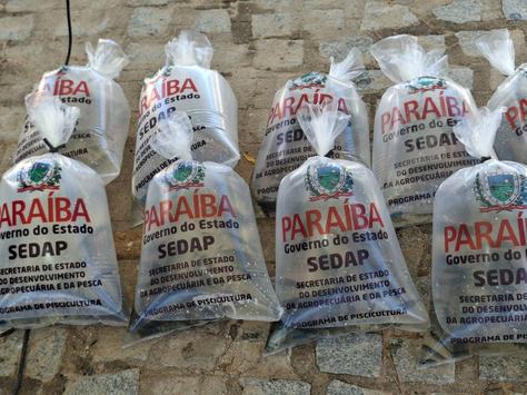 entrega-de-alevinos-sedap-pb.jpg