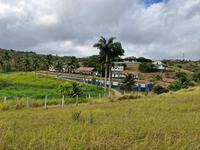 estacao-umbuzeiro01-31-10.jpg