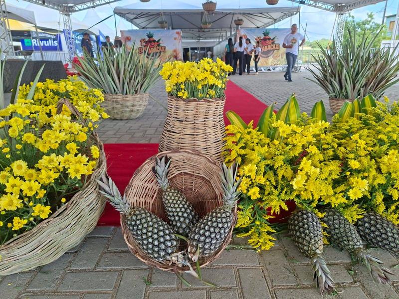 expo-abacaxi-itapororoca-1.jpeg