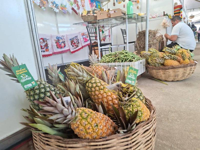 expo-abacaxi-itapororoca-5.jpeg