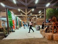 expo-sousa-estrutura-do-evento.jpeg