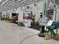 feira-1-16-11.jpg