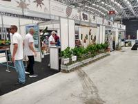 feira-5-16-11.jpg