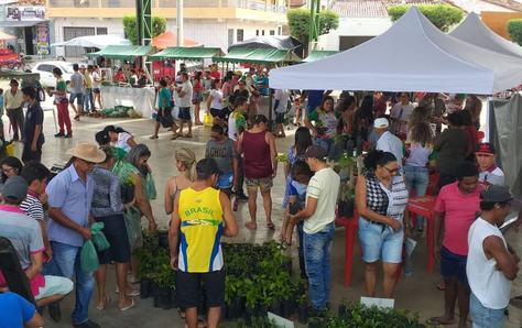 feira-itaporanga-2-31-07.jpg