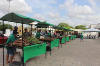 feira-pilar-31-07.jpg