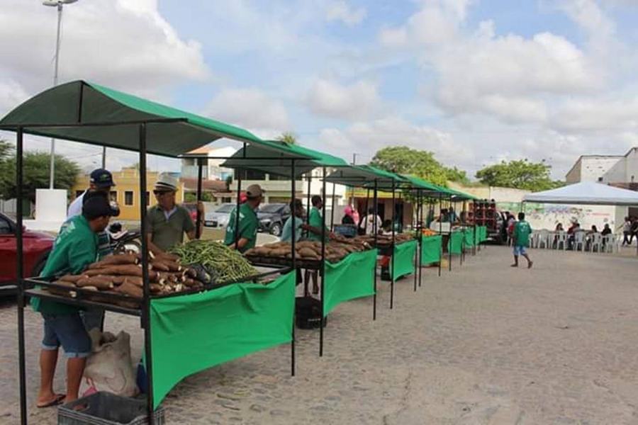 feira-pilar-31-07.jpg