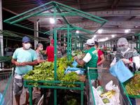 feira1-22-12.jpg