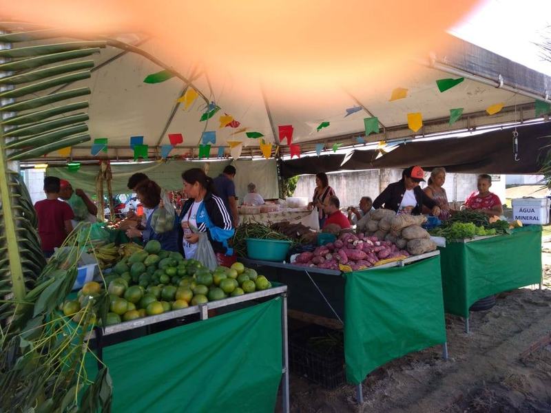 feira7.jpg