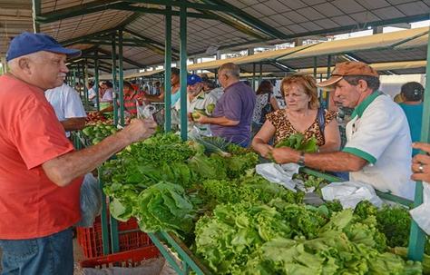 feira_emater.jpg