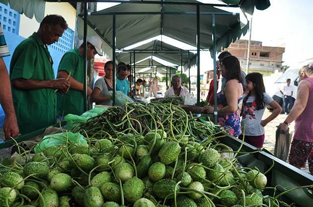 feira_organicos-1.jpg
