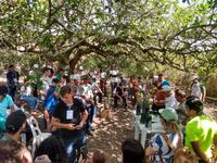 festa-da-laranja-3.jpg