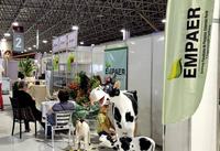 festa-queijo3.jpg