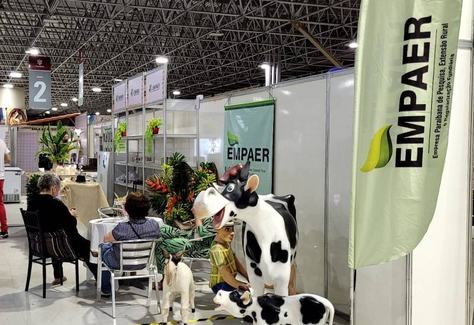 festa-queijo3.jpg