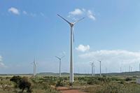 foto-clovis-porciuncula-parque-eolico-vale-dos-ventos-mataracapb-5.jpg