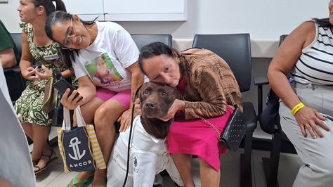 hospital-metropolitano-proporciona-terapia-assistida-por-animais-promovendo-beneficios-emocionais-e-fisicos-aos-pacientes1.jpg